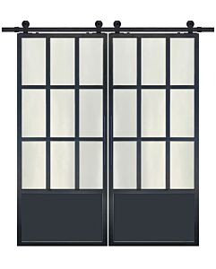 9 Lite 1 Panel Contemporary Metal Double Barn Door