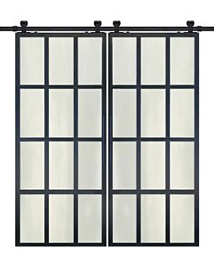 12 Lite Contemporary Metal Double Barn Door