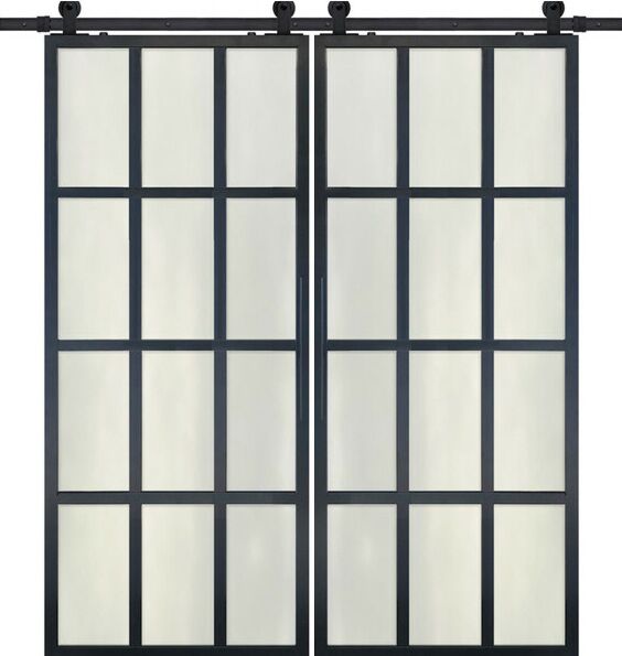 12 Lite Contemporary Metal Double Barn Door