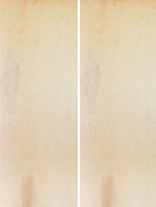 36 x 84" WG | Hollow Core Birch Flush Double Door