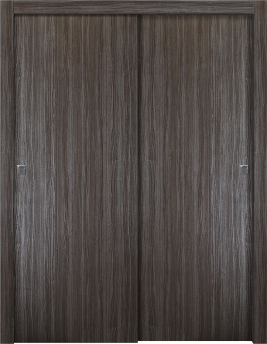 Prefinished Palladio Gray Oak Modern Interior Bypass Door
