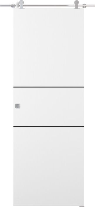 Prefinished Smart Pro 2H Black Polar White Modern Interior Barn Door