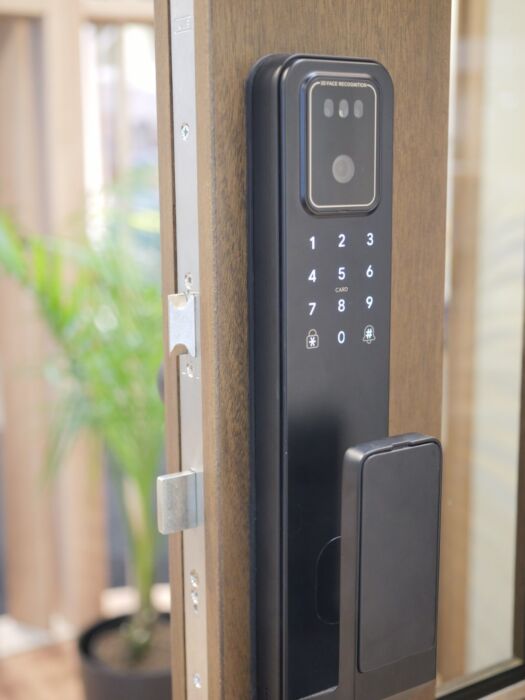 Aura™ Vision Smart Lock: The Intelligent Gateway to Your Home