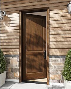 Mahogany 2 Panel Rustic Solid Single Door|P201-OG-RST