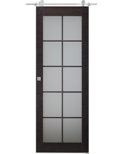 Prefinished Avanti 10 Lite Vetro Black Apricot Modern Interior Barn Door