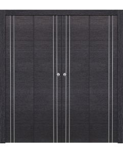 Prefinished Avanti 2V Black Apricot Modern Interior Bi-Fold 4 Door