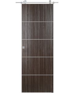 Prefinished Palladio 4H Gray Oak Modern Interior Barn Door