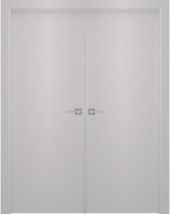 Prefinished Smart Pro Flat Polar White Modern Interior Double Door