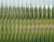 Fluted Texture Glass